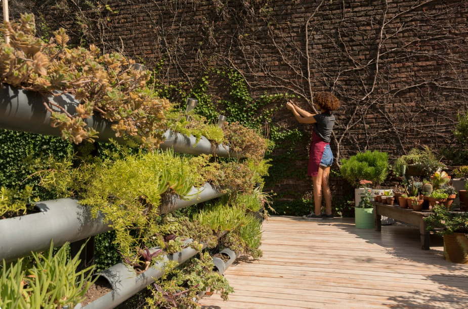 Down Sloped Backyard Ideas: Creative Ways to Transform a Challenging Yard Into a Beautiful Outdoor Space